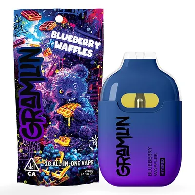 Gramlin Blueberry Waffles